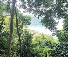ที่ดิน วิวทะเล โซนธุรกิจ ในแหล่งท่องเทียว จ.กระบี่ - Image 6