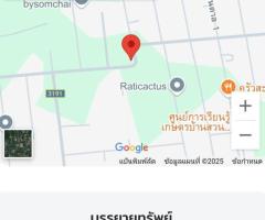 ขายที่ดินติดถนนใหญ่ ด่วน ขายถูกมากก 0982832357 - Image 2