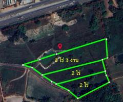 ????????ที่ดินแบ่งขาย 7 ไร่ 3 งาน ติดถนนอรุณประเสริฐ ( เจ้าของขายเอง : 096-282-5170 , 061-472-6826 ) - Image 2