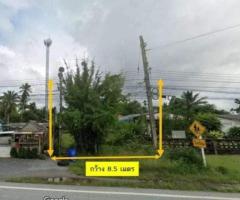 ที่ดินผืนใหญ่ อ.เฉลิมพระเกียรติ จ.นครศรีธรรมราช - Image 2