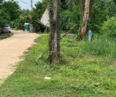 ขายที่ดิน 3 ไร่ เลขที่ 167857 - Image 3