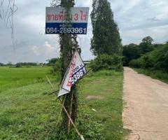 ขายที่ดิน 3 ไร่ เลขที่ 167857 - Image 4