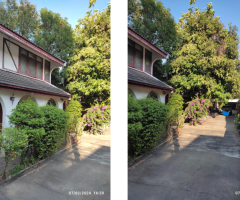 ขายบ้านที่ดิน (สวย) แถวเอกมัย - Image 5