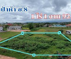ที่ดินสวยใกล้มหาลัยเชียงราย - Image 4