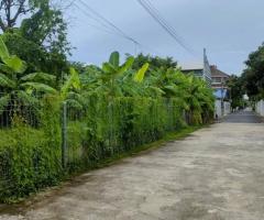 ขายที่ดินเปล่าถมแล้วในถนนลาดพร้าวซอย 48 กรุงเทพมหานคร - Image 2