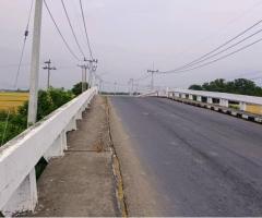 ขายที่ดินเปล่าในอำเภอบางน้ำเปรี้ยว จังหวัดฉะเชิงเทรา - Image 3