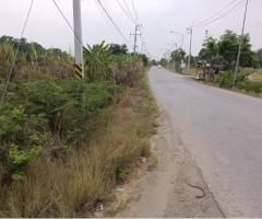 ขายที่ดินเปล่าในอำเภอบางน้ำเปรี้ยว จังหวัดฉะเชิงเทรา - Image 5