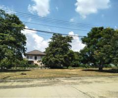 ขายที่ดิน พร้อมปลูกบ้านอาศัย สามโคก ปทุมธานี ใกล้ตลาดโรงเกลือท้ายเกาะ