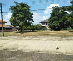 ขายที่ดิน พร้อมปลูกบ้านอาศัย สามโคก ปทุมธานี ใกล้ตลาดโรงเกลือท้ายเกาะ - Image 2