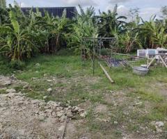 ที่ดินเปล่าถมแล้วให้เช่าในถนนนวลจันทร์ กรุงเทพมหานคร - Image 4