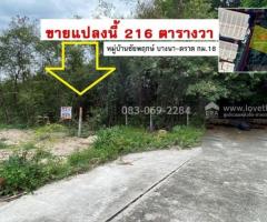 ขายที่ดิน ชัยพฤกษ์ บางนา-ตราด กม.18 สมุทรปราการ ใกล้ทางด่วนบางพลี 1 เพียง 15 นาที