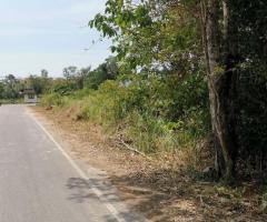 ขายที่ดิน3ไร่121วาใกล้เมือง อำเภอเมืองสตูล - Image 2