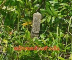 ขายที่ดิน3ไร่121วาใกล้เมือง อำเภอเมืองสตูล - Image 3