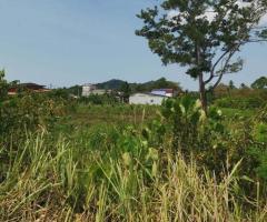 ขายที่ดิน3ไร่121วาใกล้เมือง อำเภอเมืองสตูล - Image 5