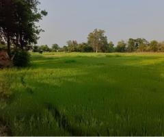 ที่ดินราชบุรี - Image 3