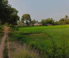 ที่ดินราชบุรี - Image 4