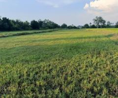 ที่ดินราชบุรี - Image 6