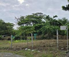 ที่ดินเปล่า อ่อนนุช51 - Image 2