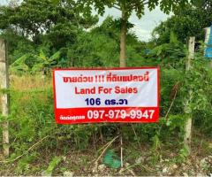 ที่ดินเปล่า อ่อนนุช51 - Image 4