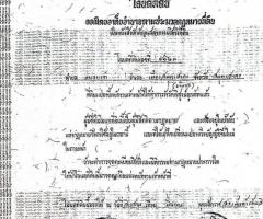 ที่ดินสีชมพู พระรามสอง บางกระเจ้า 40-0-42 และ 15-2-50 ไร่ - Image 2