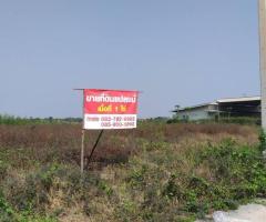 !!ขายด่วน!! ที่ดินจัดสรรโครงการสำเภาทอง 1 ไร่   หมู่ 1 ต. หน้าไม้ อ.ลาดหลุมแก้ว จ. ปทุมธานี