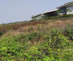 !!ขายด่วน!! ที่ดินจัดสรรโครงการสำเภาทอง 1 ไร่   หมู่ 1 ต. หน้าไม้ อ.ลาดหลุมแก้ว จ. ปทุมธานี - Image 2