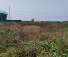 !!ขายด่วน!! ที่ดินจัดสรรโครงการสำเภาทอง 1 ไร่   หมู่ 1 ต. หน้าไม้ อ.ลาดหลุมแก้ว จ. ปทุมธานี - Image 4