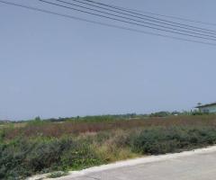 !!ขายด่วน!! ที่ดินจัดสรรโครงการสำเภาทอง 1 ไร่   หมู่ 1 ต. หน้าไม้ อ.ลาดหลุมแก้ว จ. ปทุมธานี - Image 5