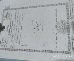 !!ขายด่วน!! ที่ดินจัดสรรโครงการสำเภาทอง 1 ไร่   หมู่ 1 ต. หน้าไม้ อ.ลาดหลุมแก้ว จ. ปทุมธานี - Image 6