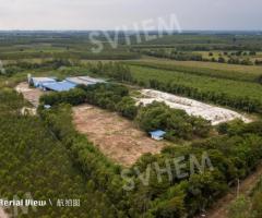 ขายที่ดินอุตสาหกรรม 50 ไร่ 23 ตรวา พร้อมใบอนุญาต รง4 จังหวัดปราจีนบุรี - Image 2