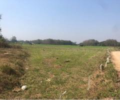 ขายที่ดิน ใกล้สถานีรถไฟทางคู่ จ.แพร่ - Image 2