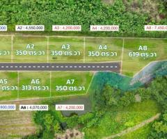 ขายที่ดินวิวเขา หมูสี – ปากช่อง – เขาใหญ่ โฉนด นส.4 ครุฑแดง