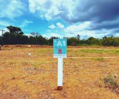 ขายที่ดินวิวเขา หมูสี – ปากช่อง – เขาใหญ่ โฉนด นส.4 ครุฑแดง - Image 3