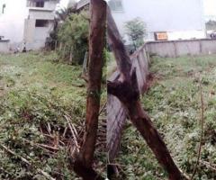 ขายที่ดิน พร้อมตึก 124 ตารางวา 3 ชั้นครึ่ง สุขาภิบาล5 - Image 5