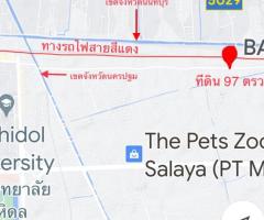 ขายที่ดินพร้อมสิ่งปลูกสร้าง ติดถนนศาลาธรรมสพน์ พุทธมณฑลสาย3 - Image 2