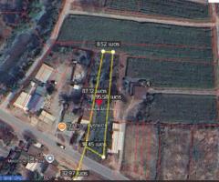 ขายถูก ที่ดินโซนพัฒนา เขต อ.เมืองพิษณุโลก แหล่งชุมชน  ครุฑแดง (เจ้าของขายเอง)  ขนาด 3 งาน 9 ตร.