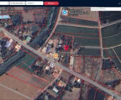 ขายถูก ที่ดินโซนพัฒนา เขต อ.เมืองพิษณุโลก แหล่งชุมชน  ครุฑแดง (เจ้าของขายเอง)  ขนาด 3 งาน 9 ตร. - Image 2