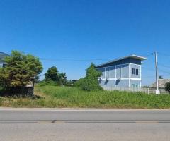 ขายถูก ที่ดินโซนพัฒนา เขต อ.เมืองพิษณุโลก แหล่งชุมชน  ครุฑแดง (เจ้าของขายเอง)  ขนาด 3 งาน 9 ตร. - Image 5