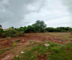 ขายที่ดิน ใกล้เลี่ยงเมืองนครสวรรค์  999,900   บาท