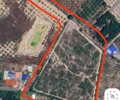 ที่ดินเนื้อที่ประมาณ 15 ไร่ อำเภอเมือง