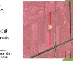 ขายที่ดินแปลงใหญ่ ทำเลศักยภาพสูง ธัญบุรี  คลอง 6 จ.ปทุมธานี - Image 5