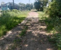 ♨️ขายที่ดินใกล้ มศว.องครักษ์ 1 ไร่ 37 ตารางวา ราคา 1,200,000 พร้อมโอน