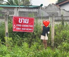 ขาย ที่ดินสวย ติดถนนใหญ่ - Image 2