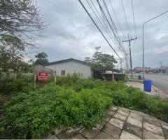 ขาย ที่ดินสวย ติดถนนใหญ่ - Image 3