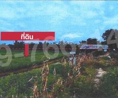 ???? ขายที่ดินทำเลดี ติดคลองสาม  ตำบลทวีวัฒนา อำเภอไทรน้อย จังหวัดนนทบุรี