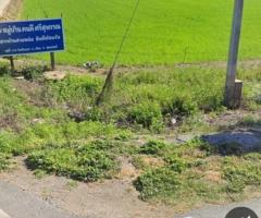 ให้เช่าที่ดินระยะยาว 6 ไร่ 2 งาน 37 ตรว. อยู่ปากทางเข้าหมู่บ้าน คนดีศรีสุพรรณ 45,000 บาท/เดือน - Image 2