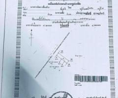 ขายที่ดินพร้อมสิ่งปลูกสร้างติดถนน ทำเลดี - Image 3