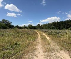 ที่ดิน ปากเเพรก จังหวัดระยอง เนื้อที่ 8 ไร่ 24 ตารางวา