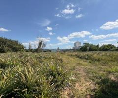 ที่ดิน ปากเเพรก จังหวัดระยอง เนื้อที่ 8 ไร่ 24 ตารางวา - Image 3