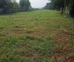 ขายที่ดินทำเลรามคำแหงซอย150 - Image 2